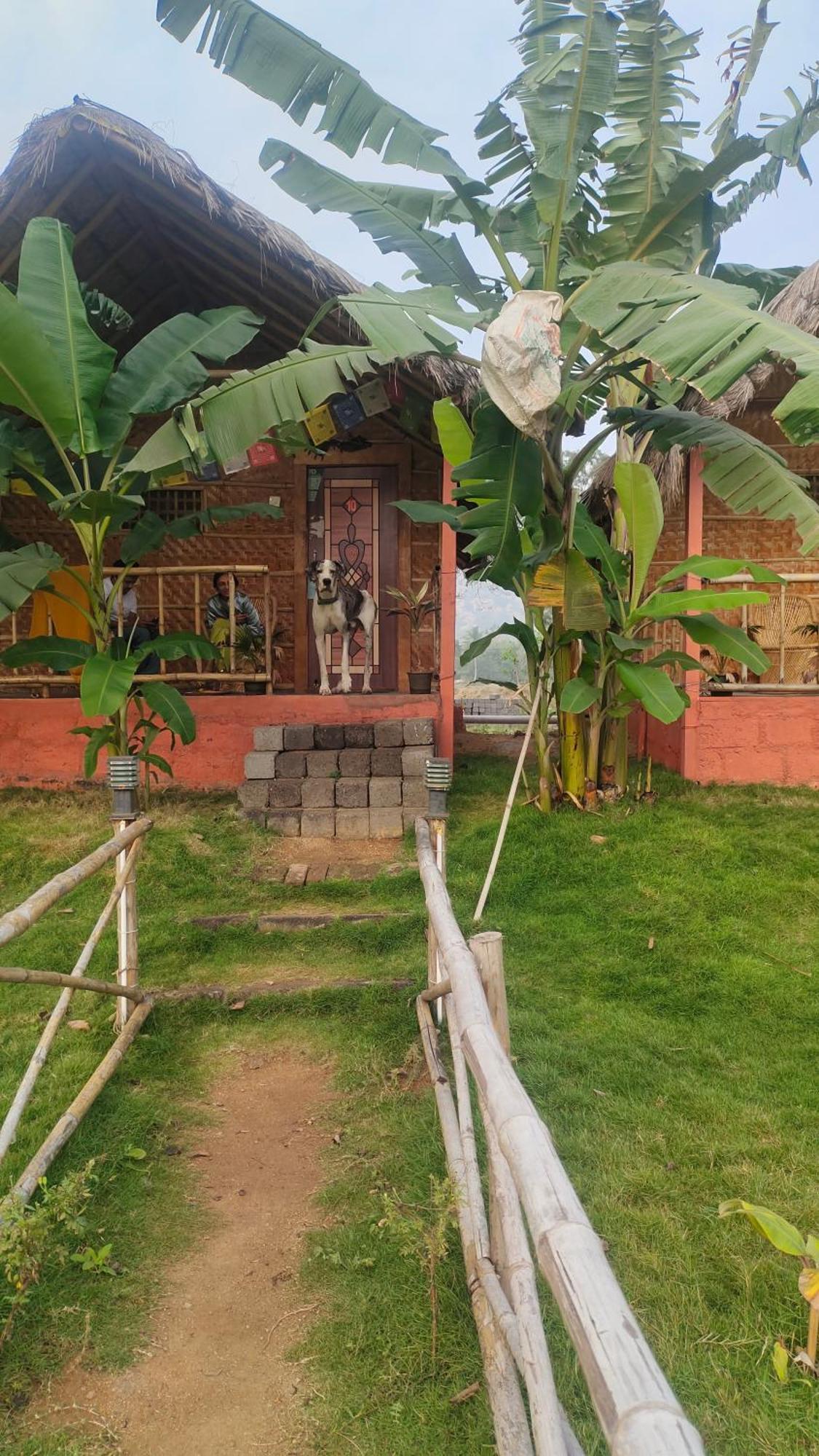 Waterfall Guesthouse Hampi Kültér fotó